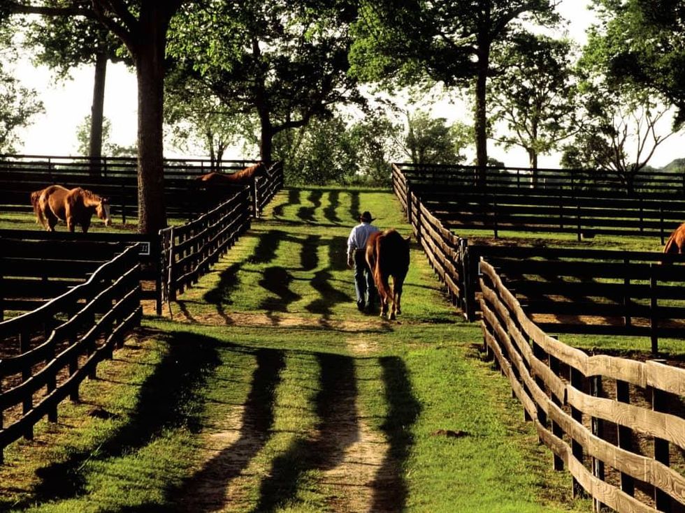 Inn at Dos Brisas, July 2016