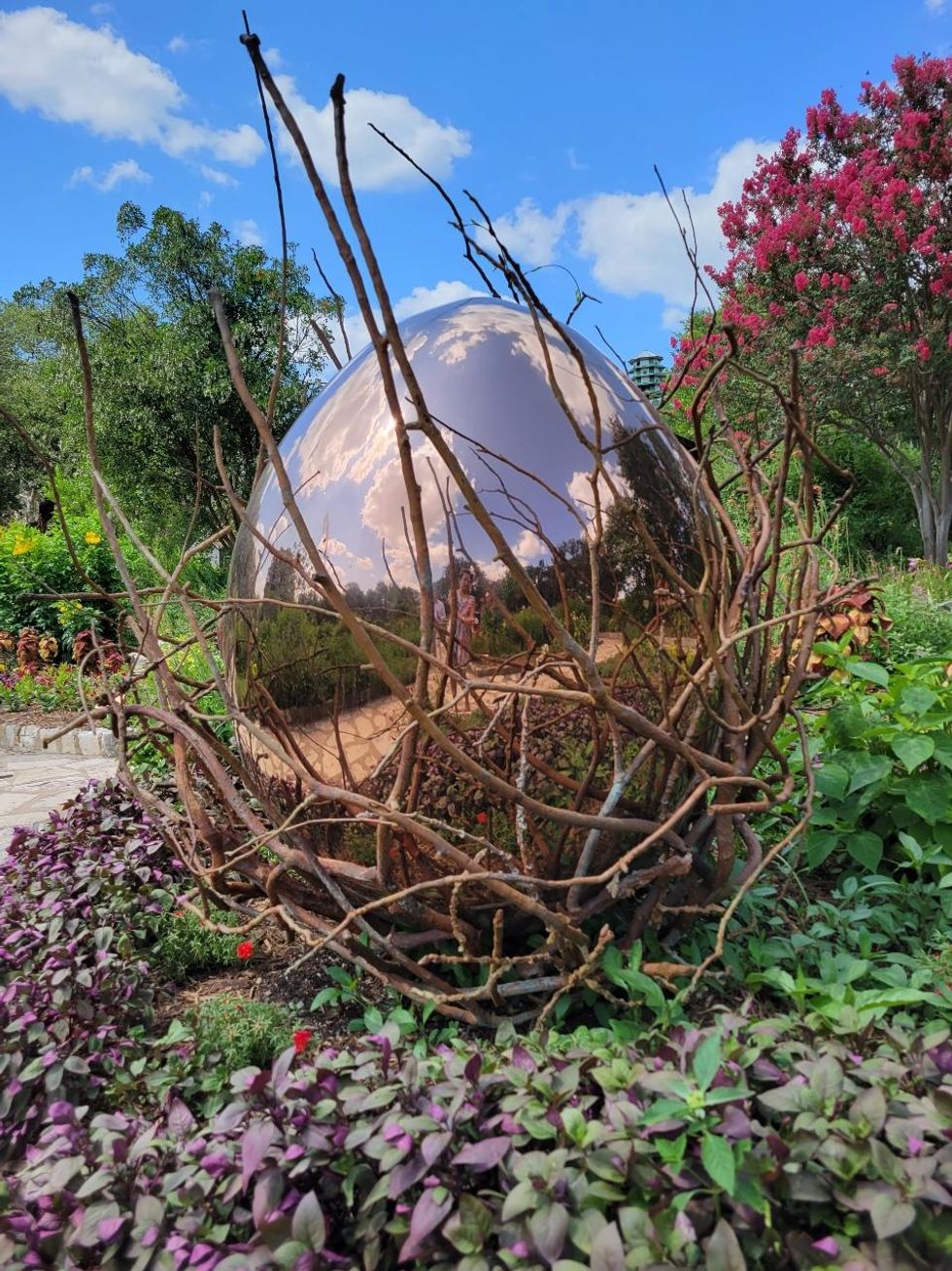 Intertwined Eagle Nest Houston Botanic Garden Steve Tobin