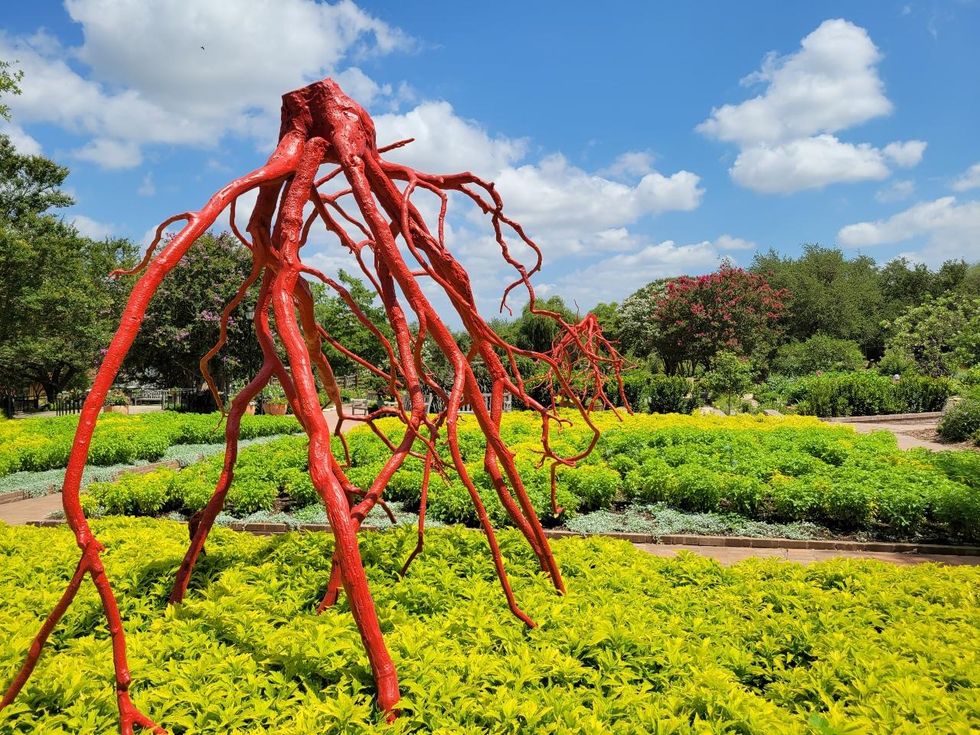 Intertwined Romeo & Juliet Houston Botanic Garden Steve Tobin