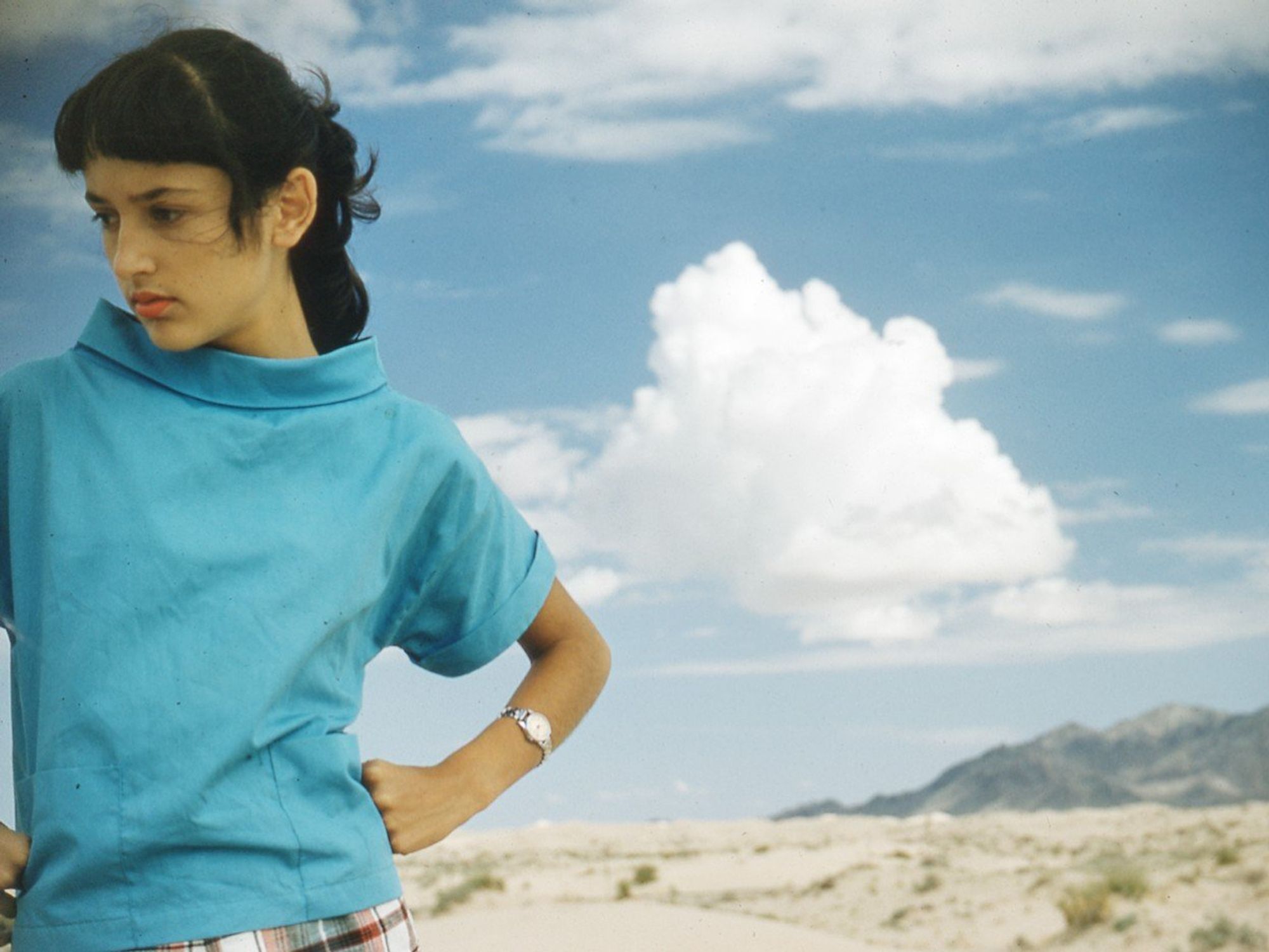 Joan Baez: I Am a Noise