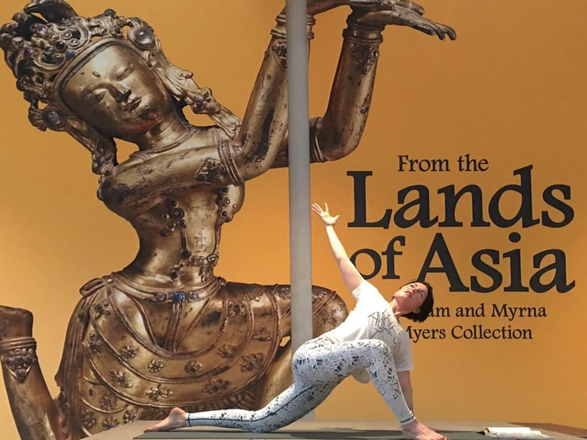 Kimbell Art Museum yoga