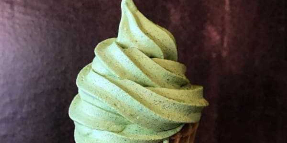 Modern Tea Brewing Guide Kissa Matcha debuts in Grand Prairie with premium tea and soft serve ...