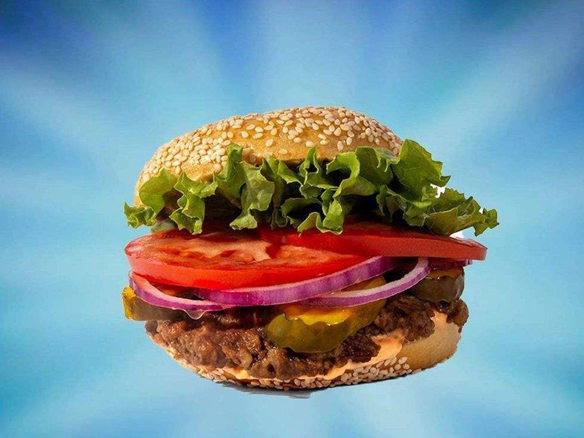 Krabby Patty Starship Bagel