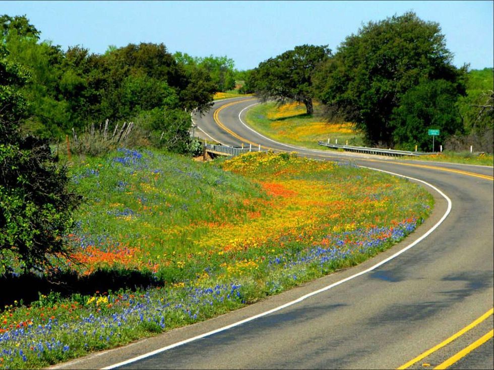 Lady Bird Johnson Wildflower Center presents Wildflower Roadside Tour 2017