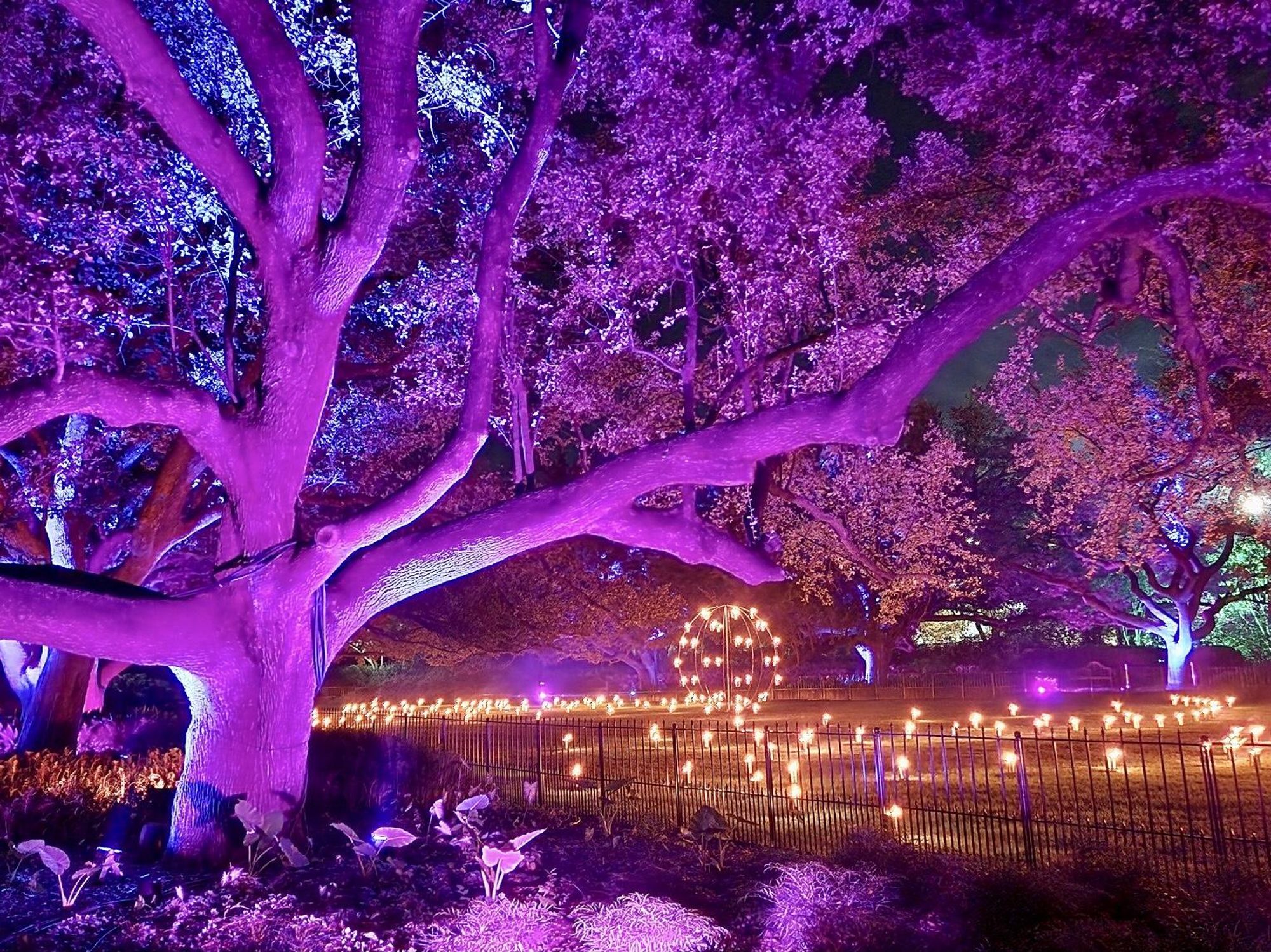 Lightscape Fort Worth Botanic Garden