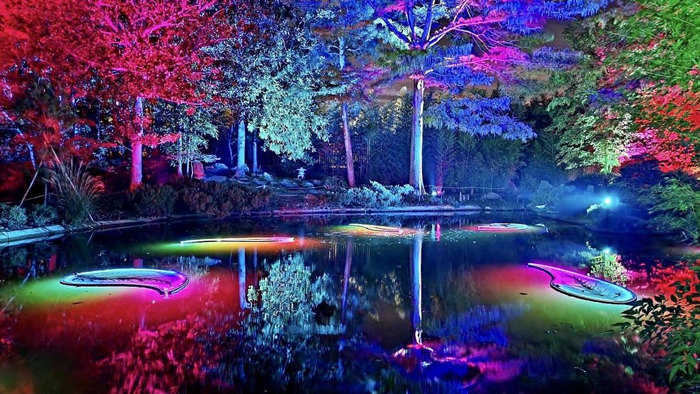 Lightscape Fort Worth Botanic Garden