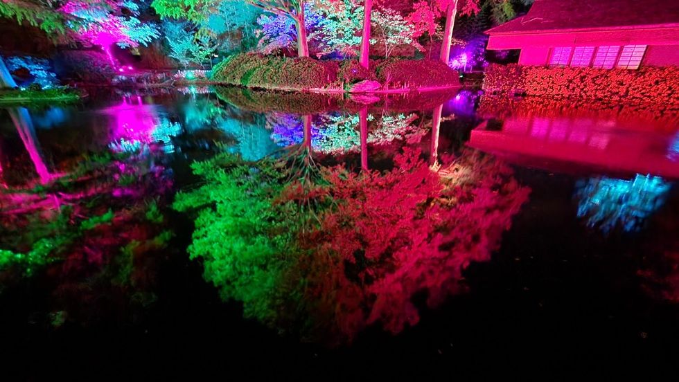 Lightscape Fort Worth Botanic Garden