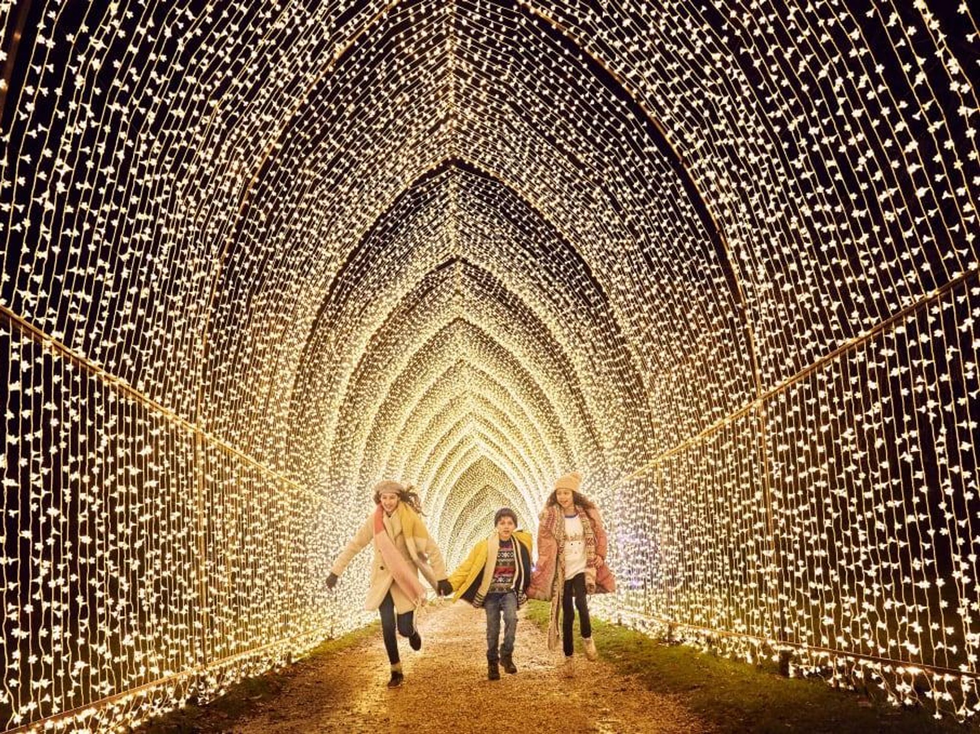 Walk through 1 million holiday lights in spectacular 'Lightscape