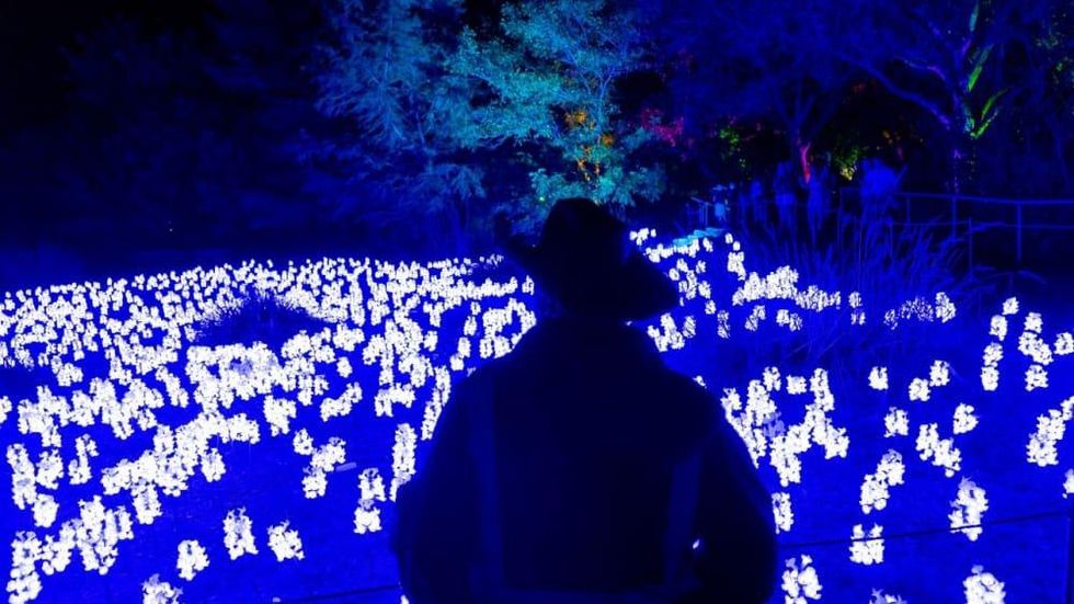 Lightscape Houston Botanic Garden