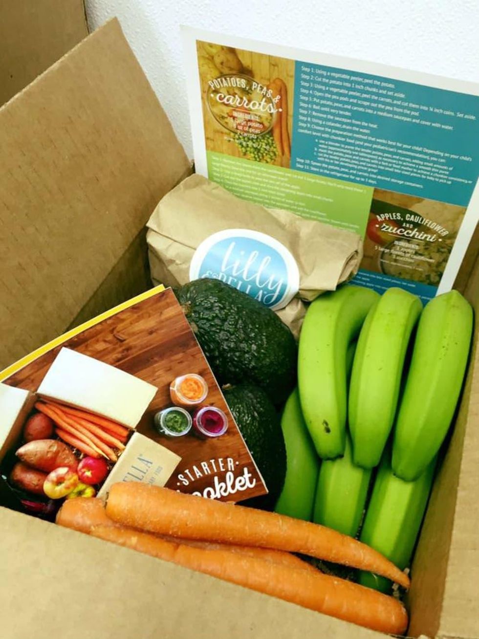 Lilly & Bella baby food delivery service