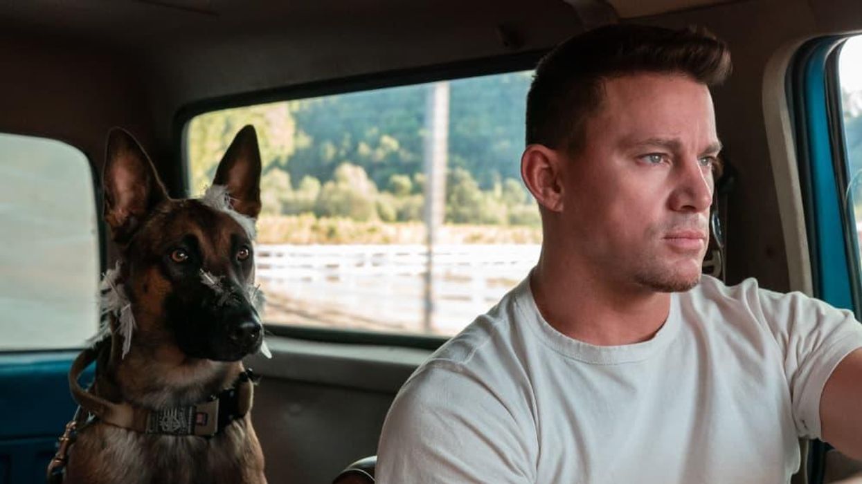 Lulu and Channing Tatum in Dog