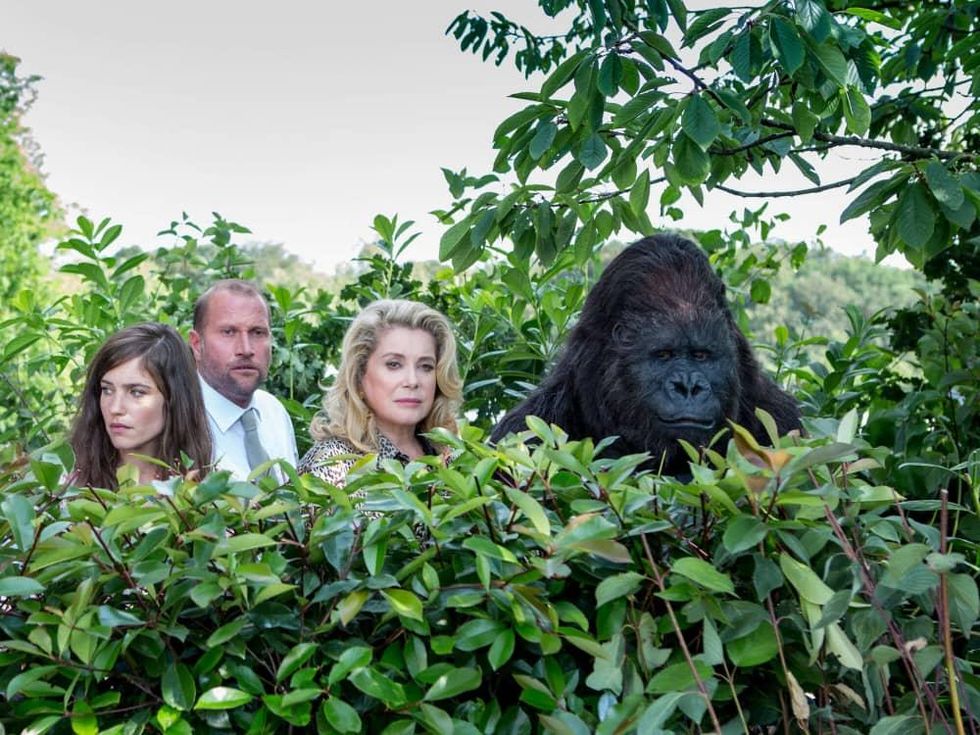 Magnolia at the Modern: The Brand New Testament