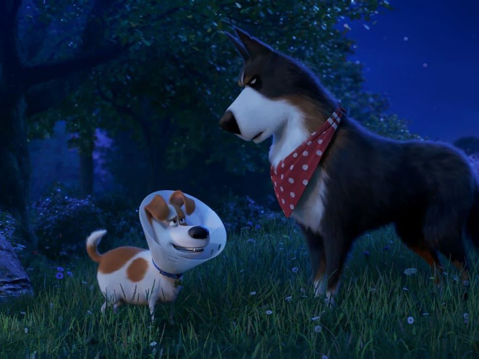 Max (Patton Oswalt) and Rooster (Harrison Ford) in The Secret Life of Pets 2