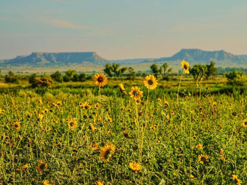 Mesa Vista Ranch, T. Boone Pickens