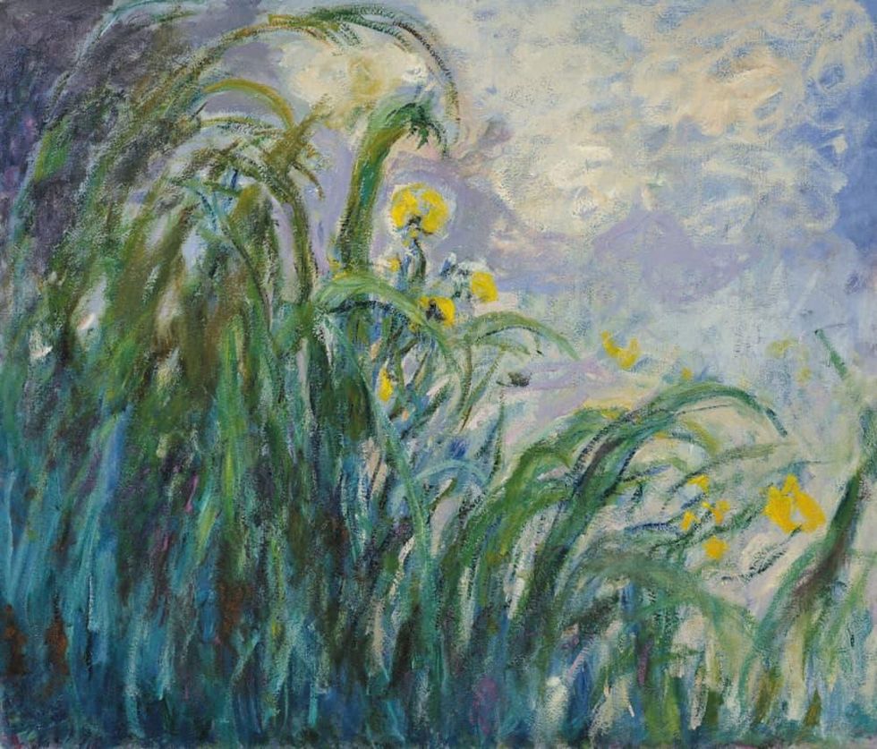 Monet, Yellow Irises
