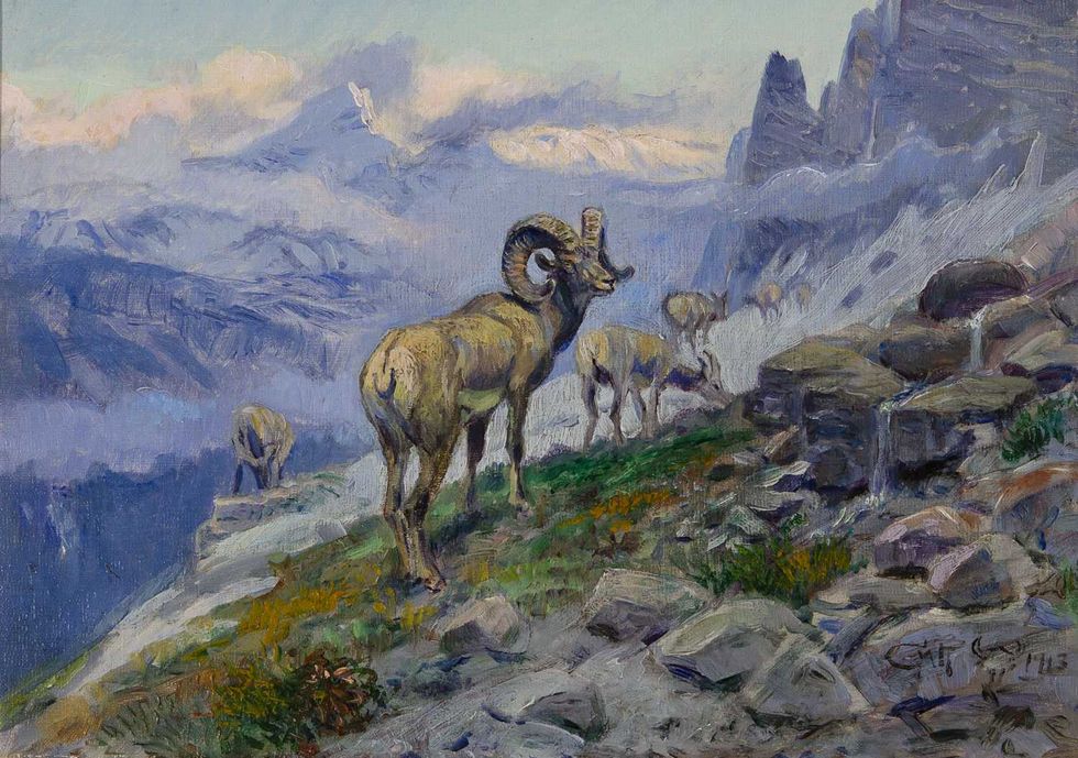Mountain Sheep Grazing, Charles Russell