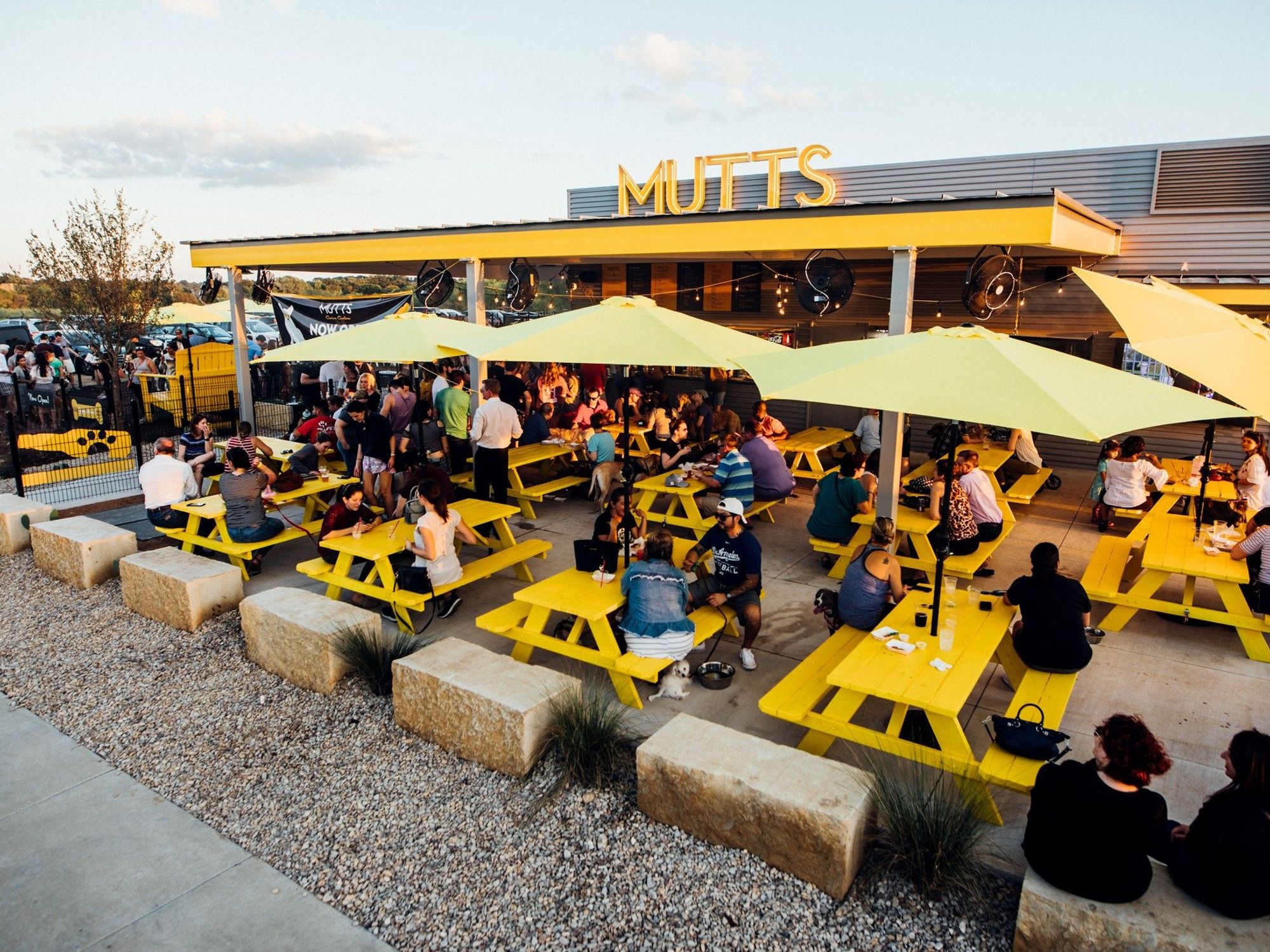 Mutts Canine Cantina