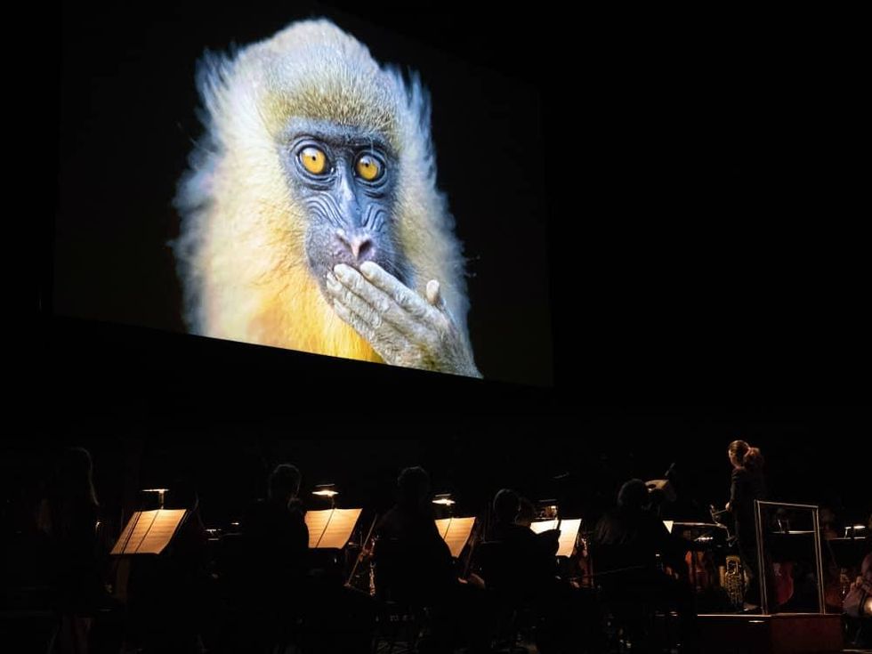 National Geographic: Symphony for Our World 2018 Worldwide Tour