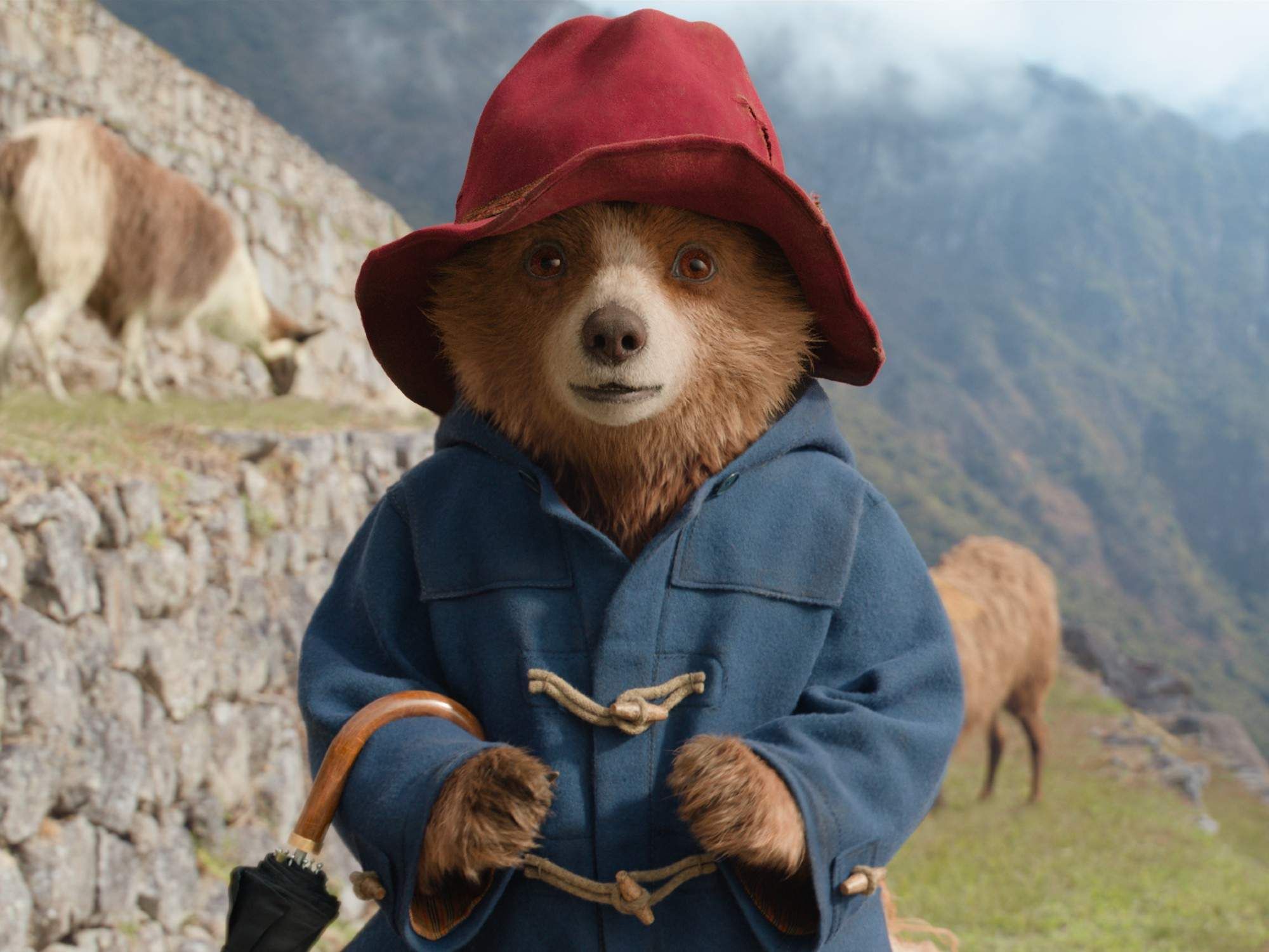 Paddington (voiced by Ben Whishaw) in Paddington in Peru