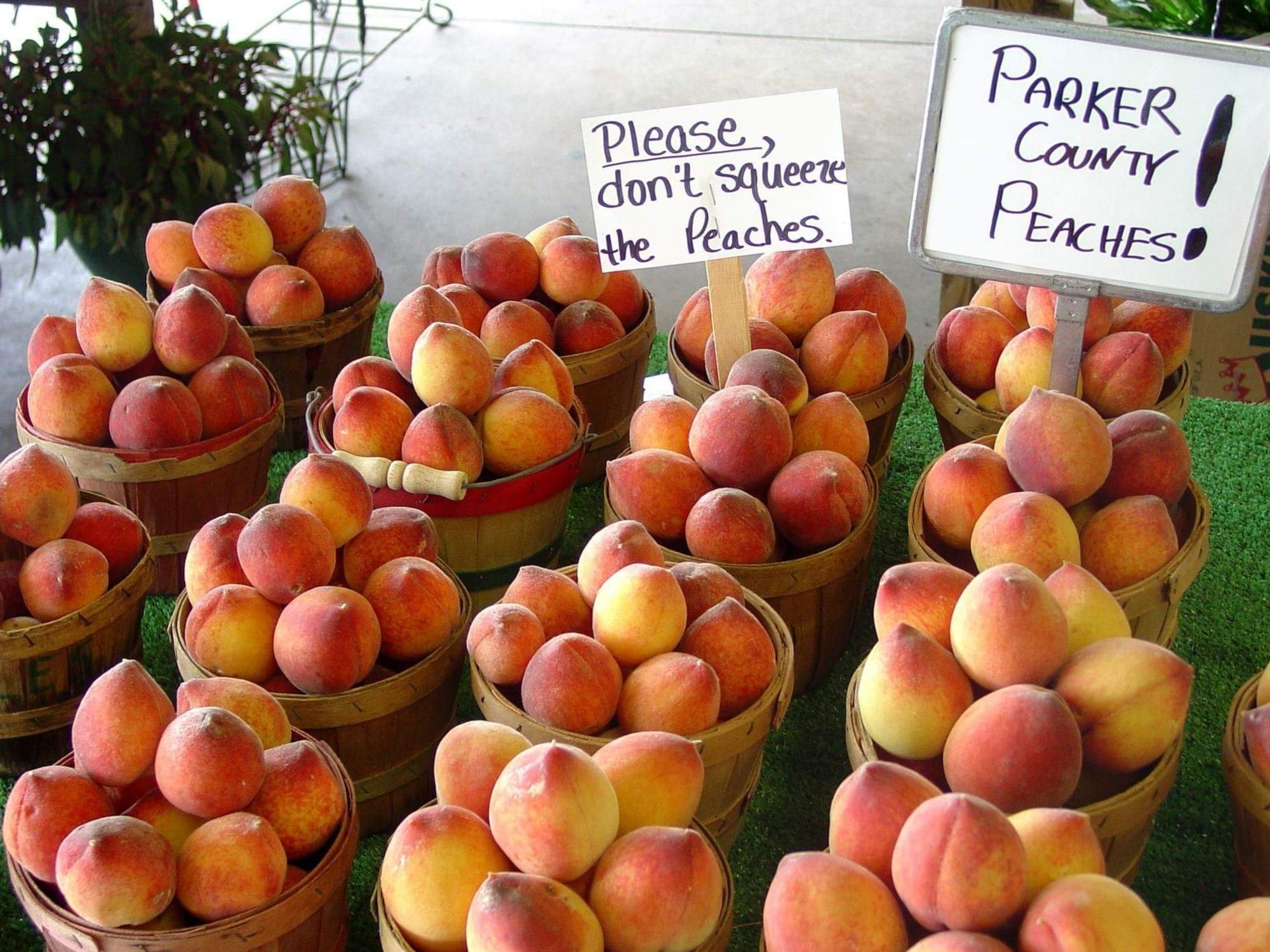 Peaches