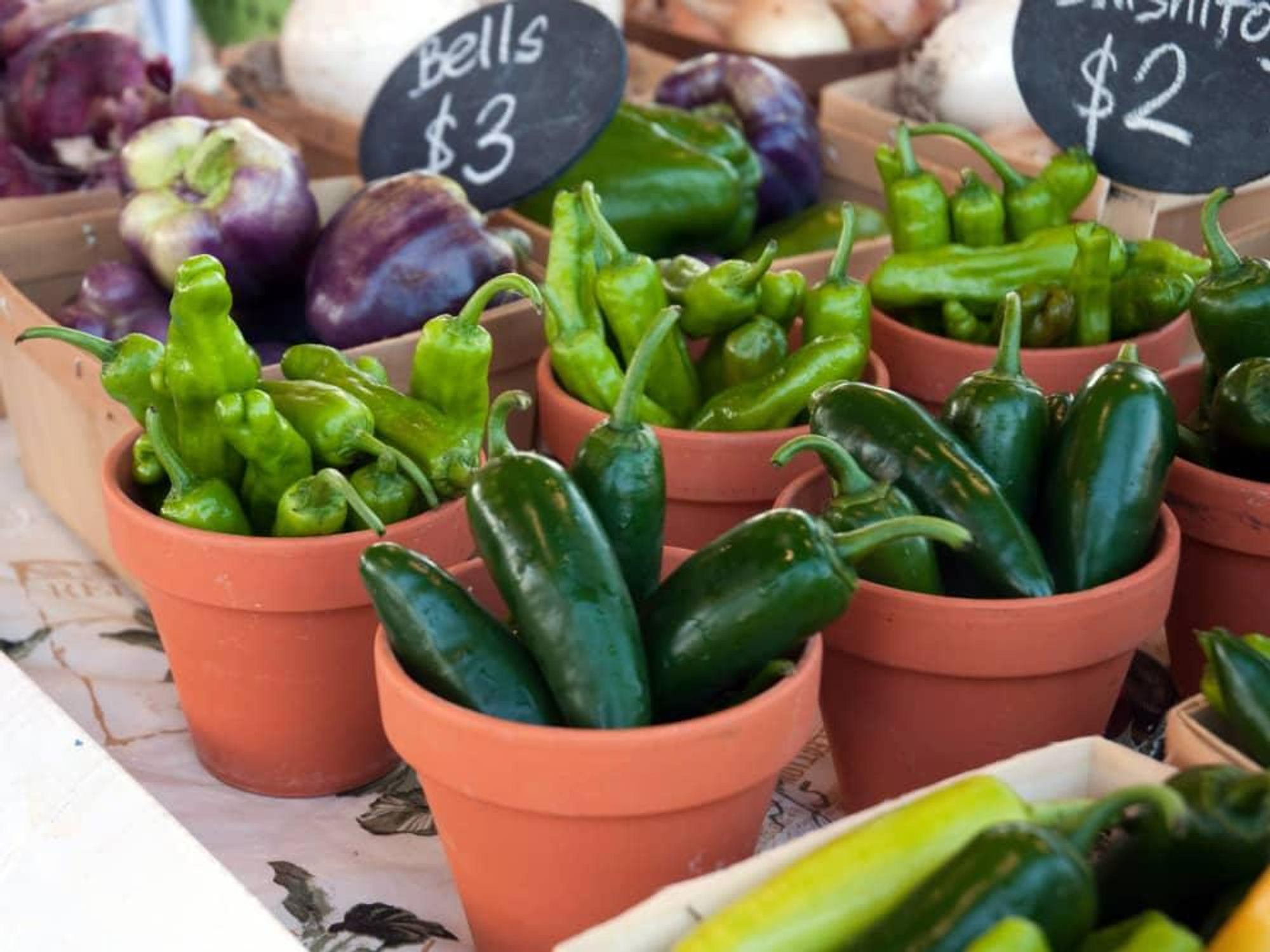 Peppers at Coppell Farmers Market