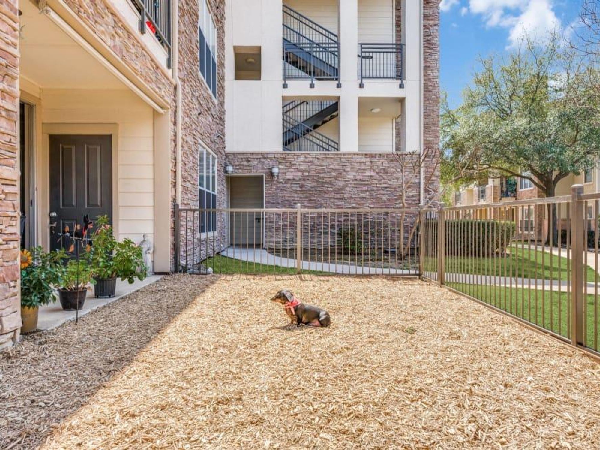 Pet Concierge Communities apartments
