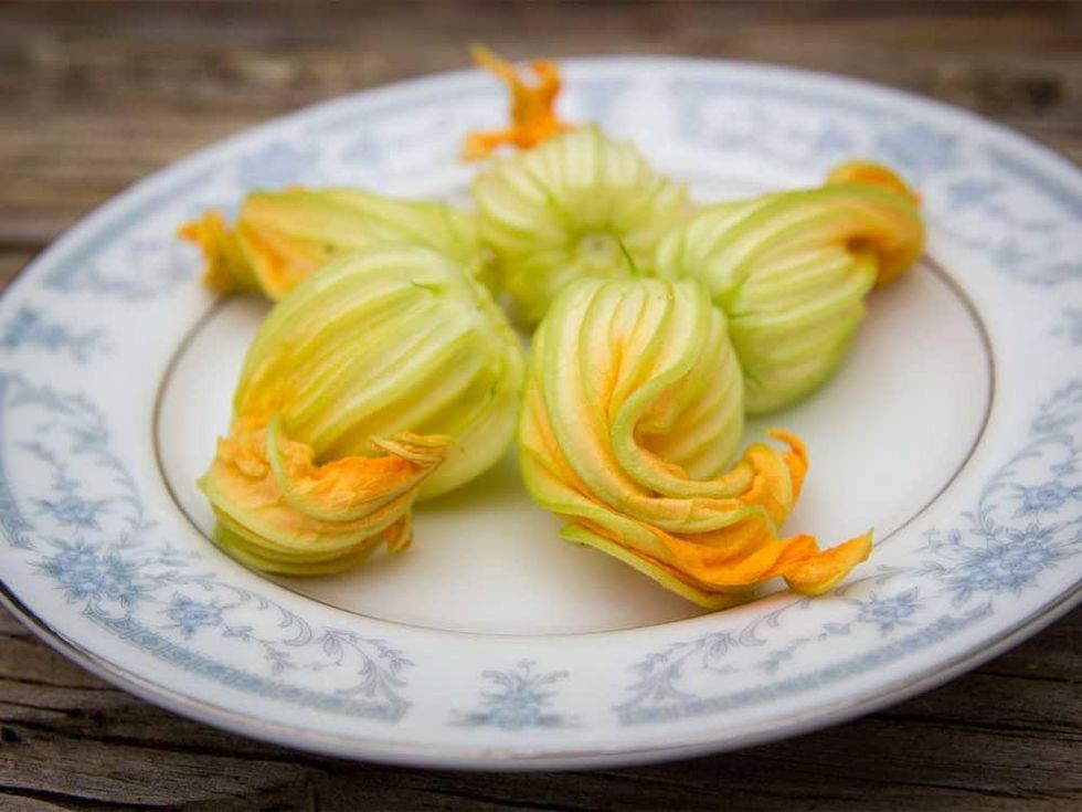 Photo of plate full of sqaush blossoms