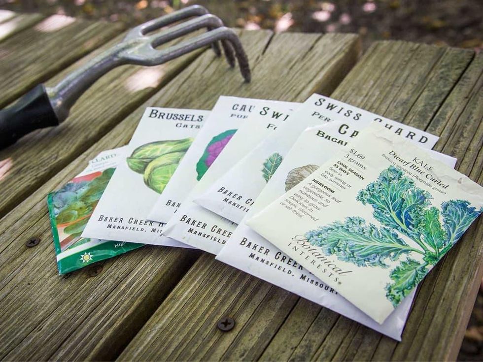 Picture of seed packets for kale, cabbage and other cool season crops