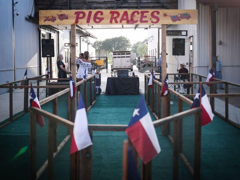 Pig Races, Cowtown Ball