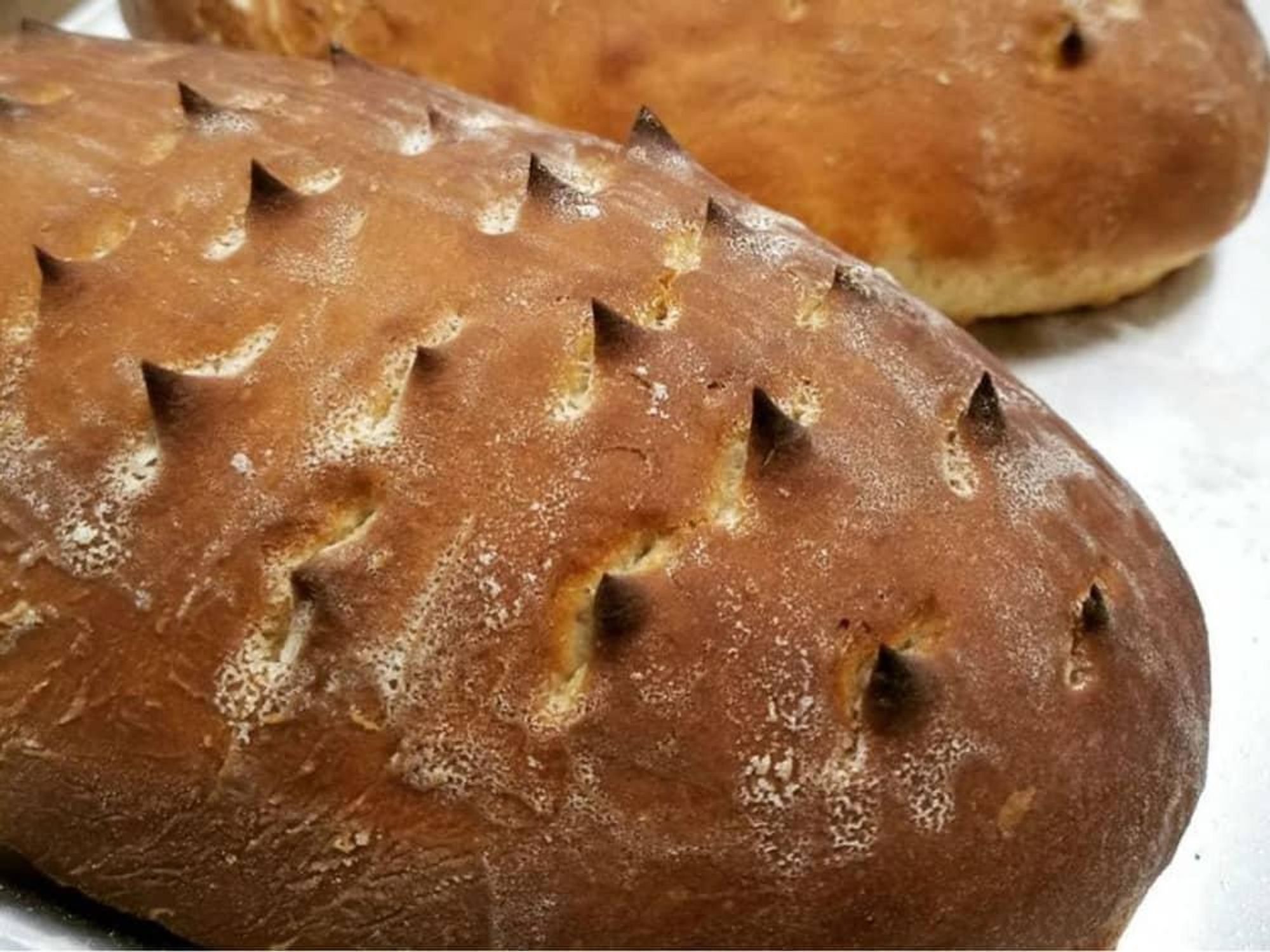 Planted Bakery vegan