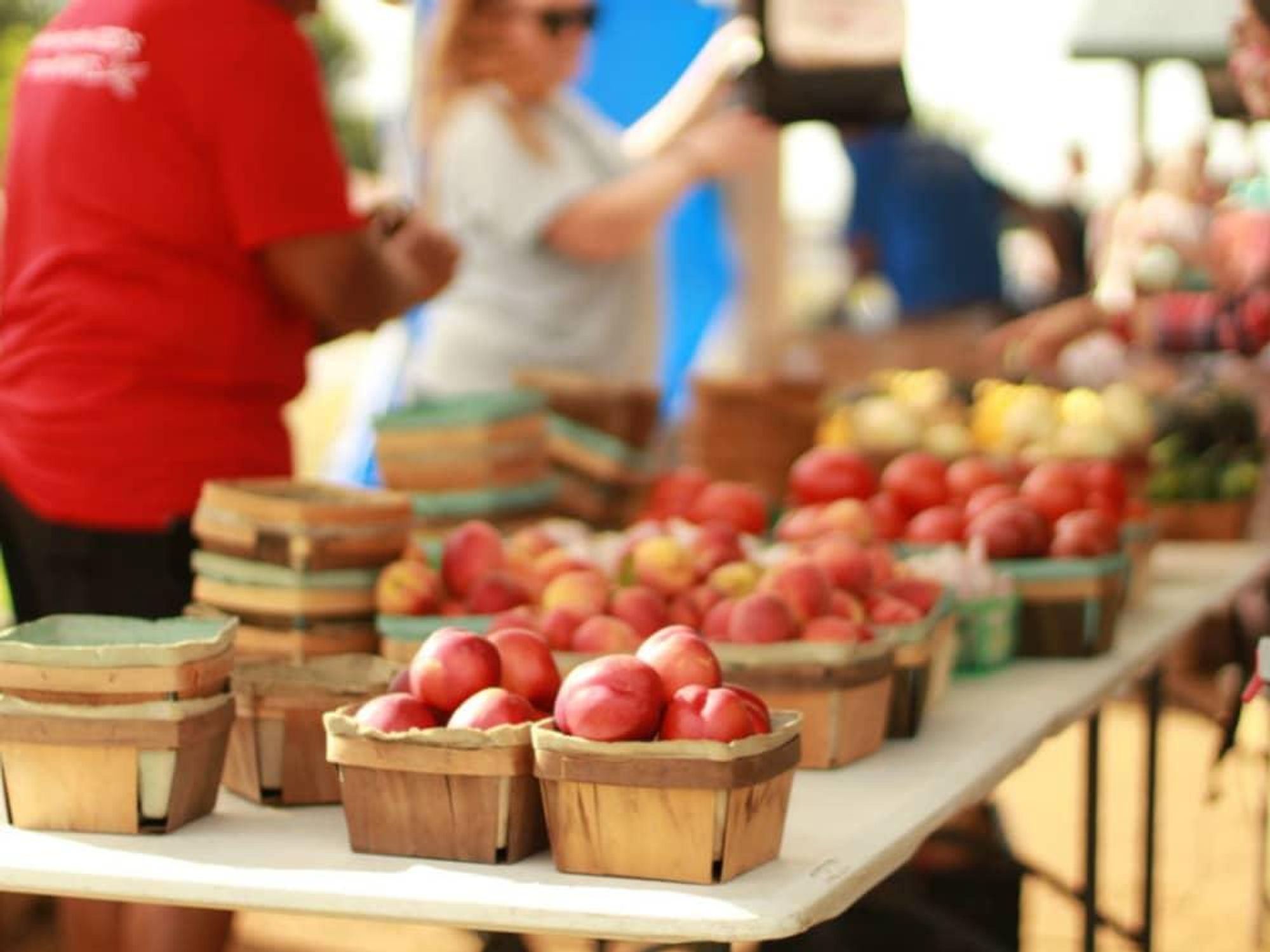 produce farmers market