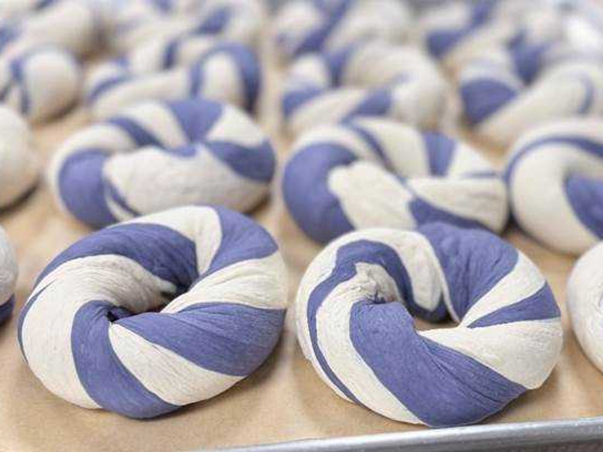 Purple tinted bagels from Dan's Bagels