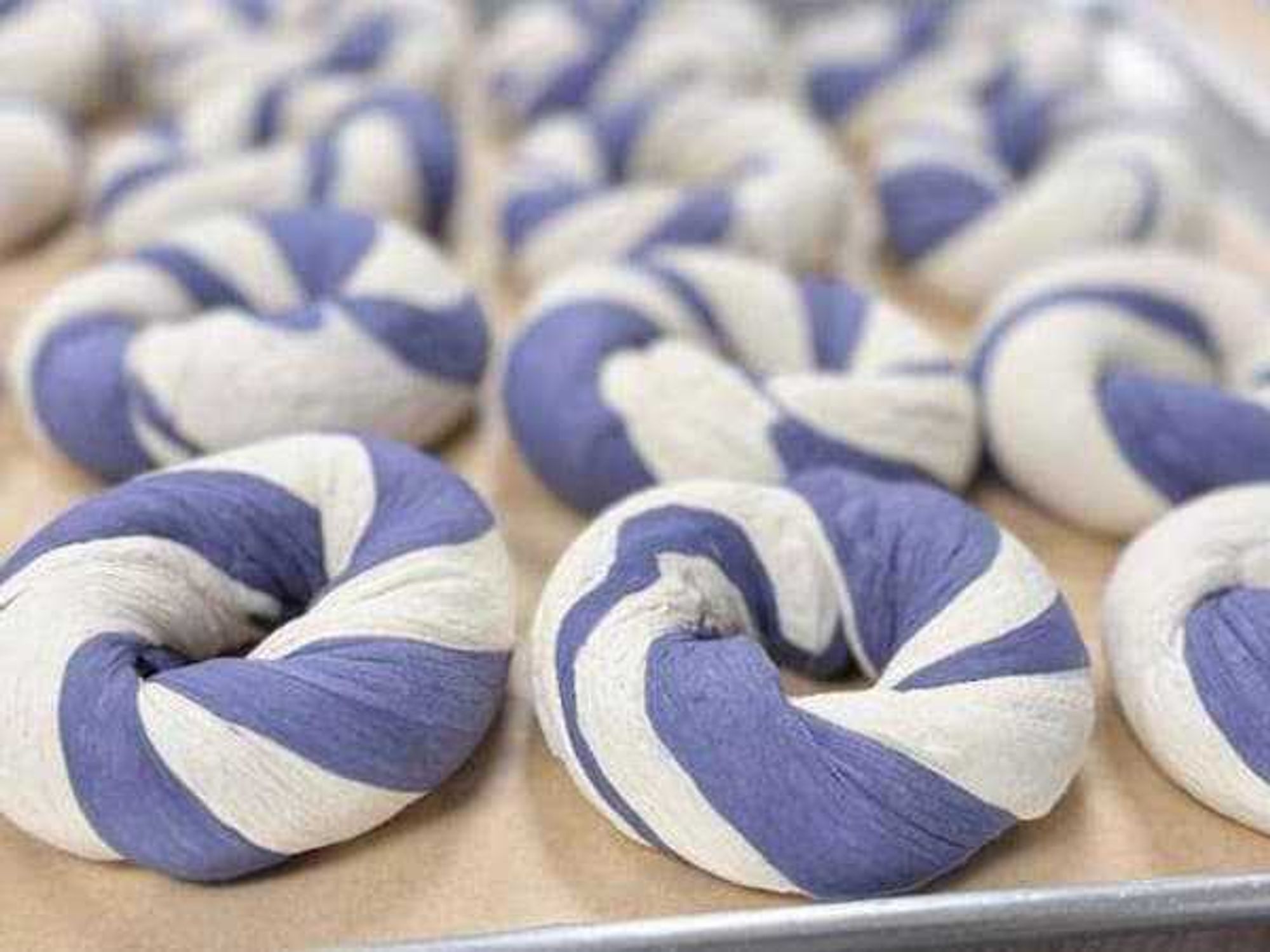 Purple tinted bagels from Dan's Bagels