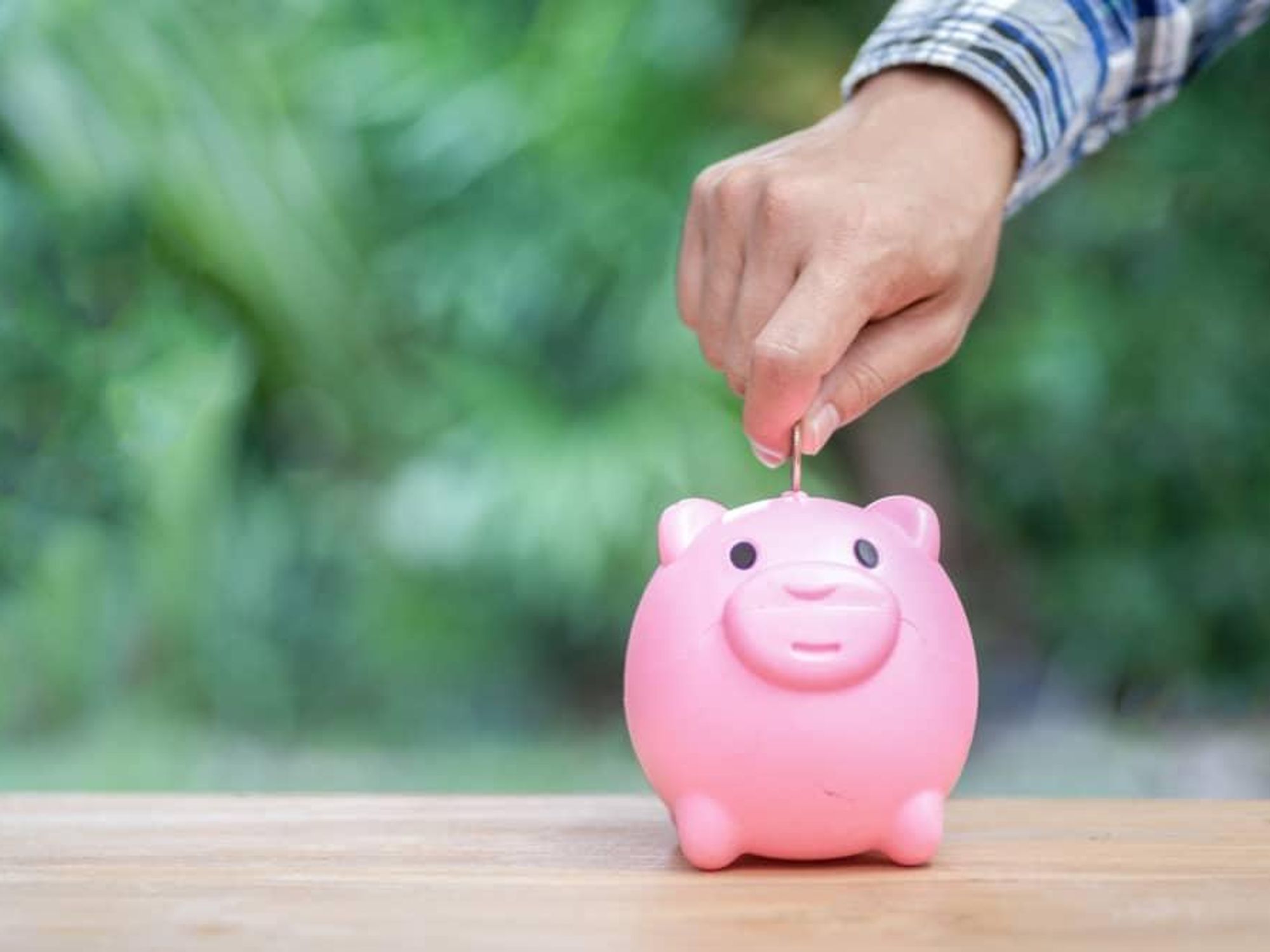 Saving money piggy bank