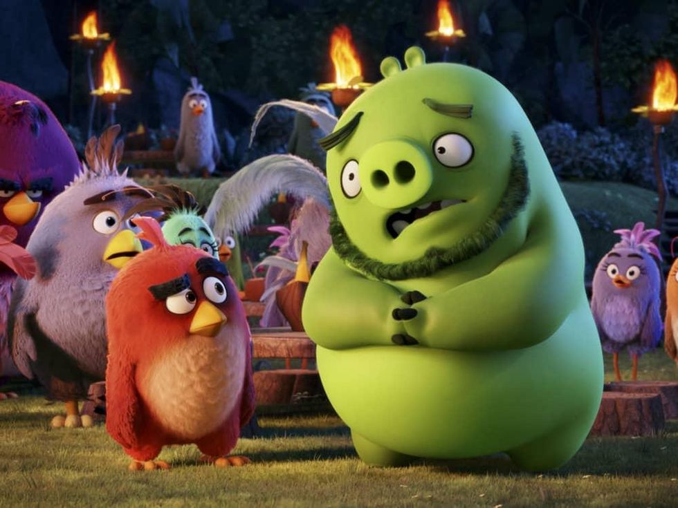 Scene from The Angry Birds movie