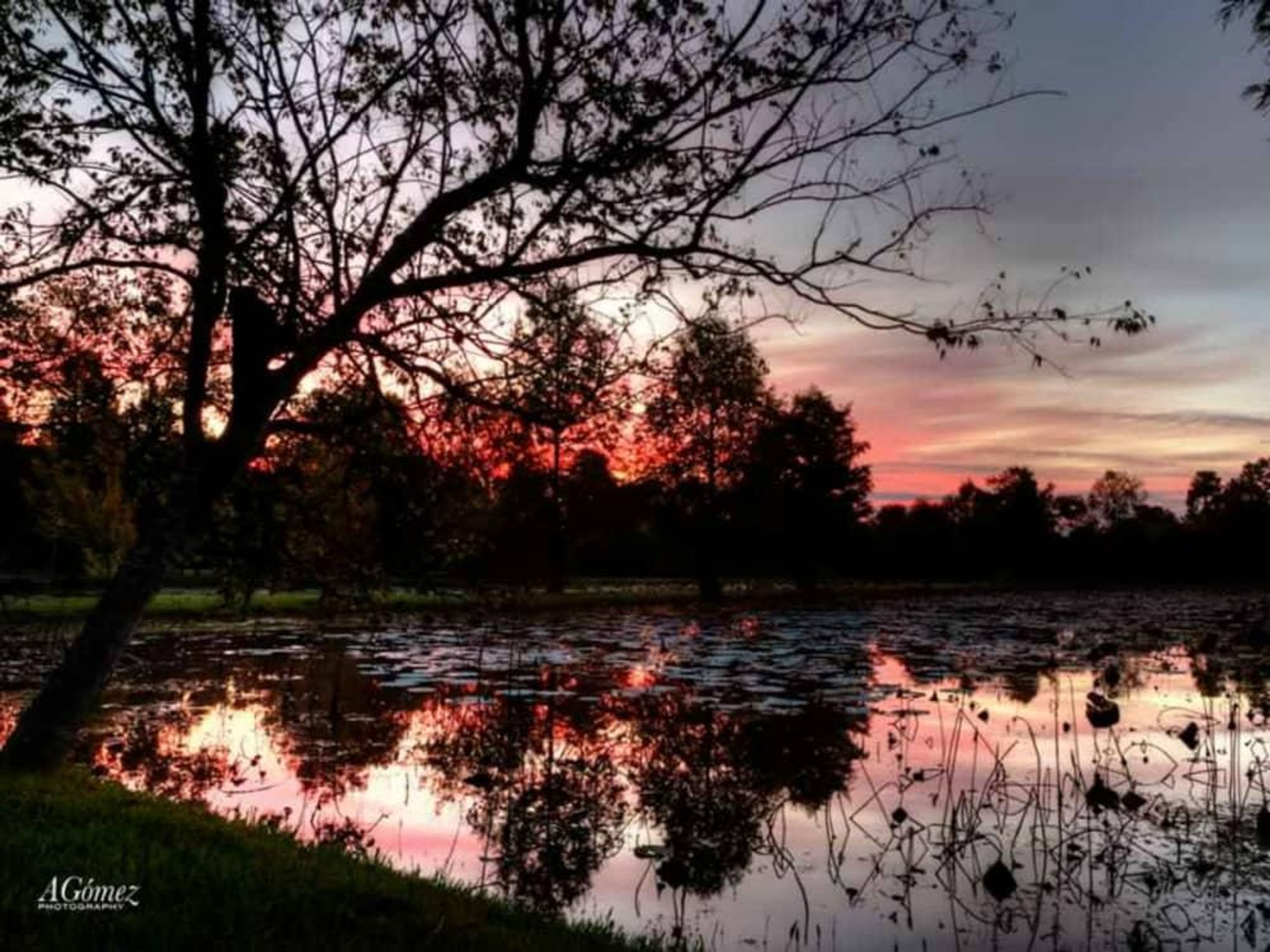 Sheldon Lake State Park & Environmental Learning Center presents Critters and Constellations