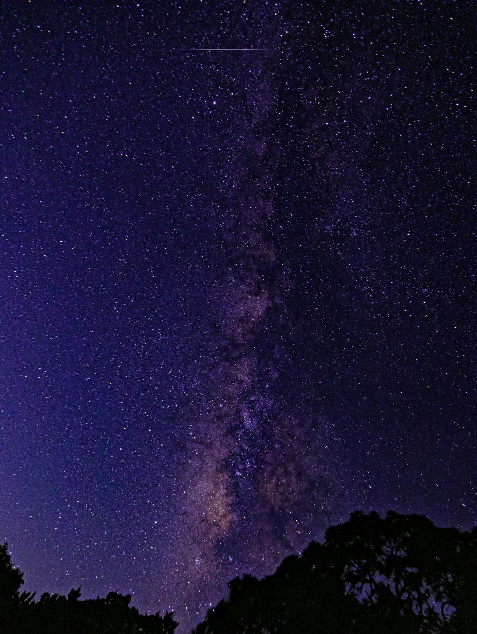 Starry sky at Hill Country State Natural Area