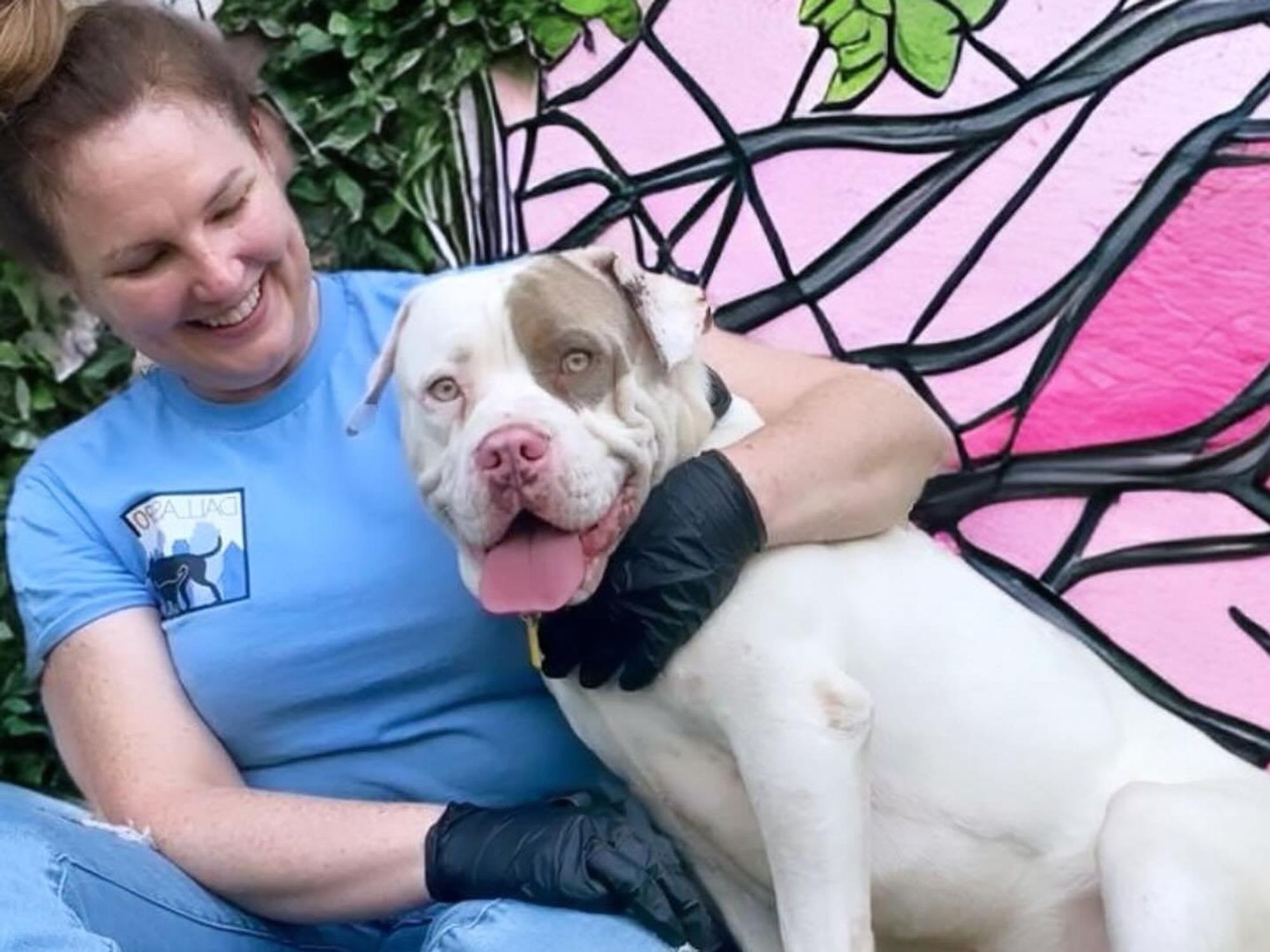 Stephanie Casey Dallas shelter