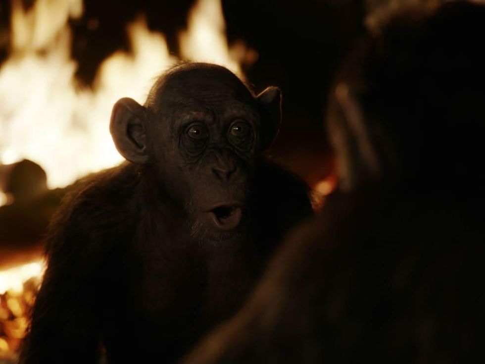 Steve Zahn as Bad Ape in War for the Planet of the Apes