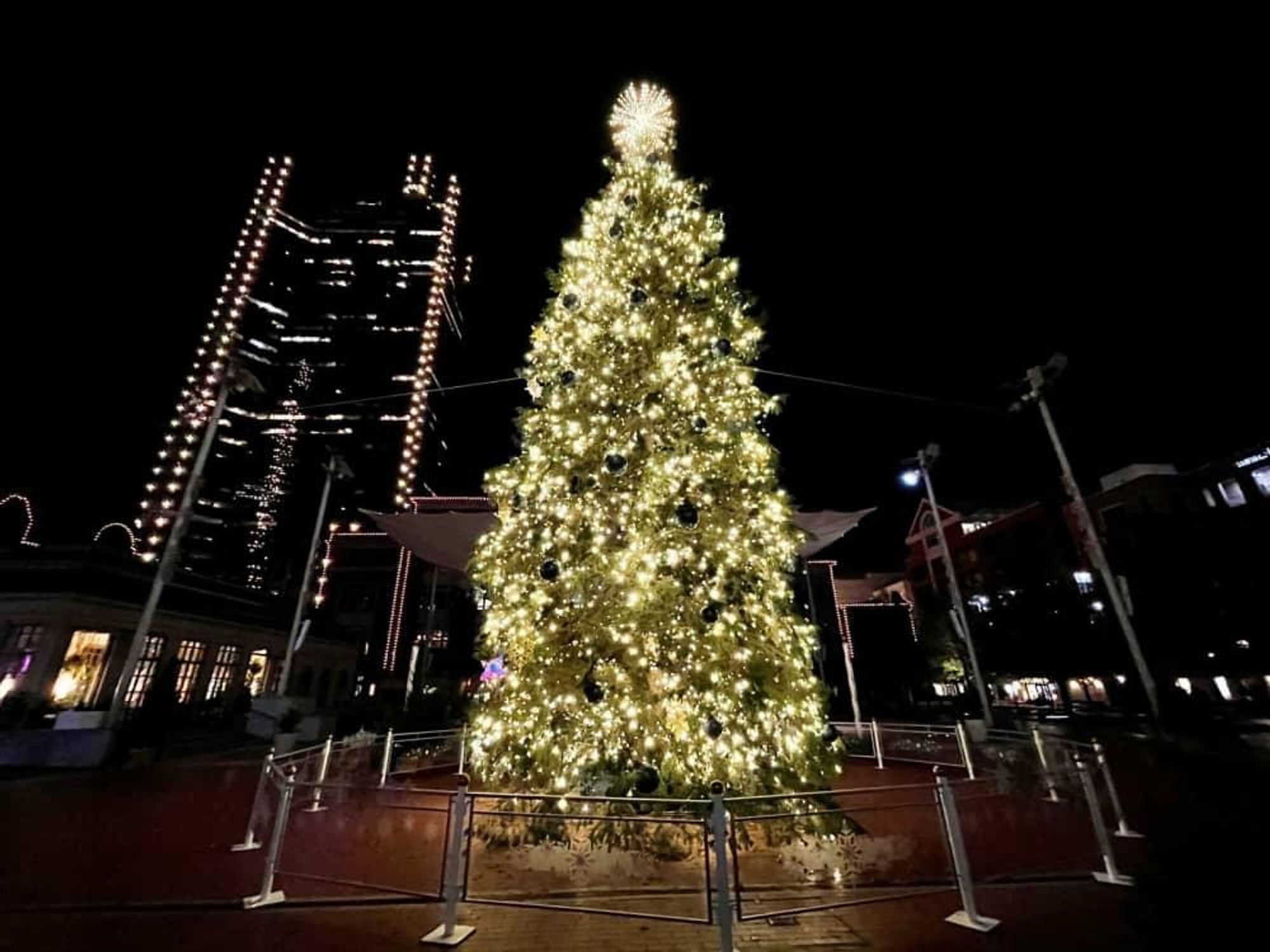 Sundance Square Christmas tree 2020