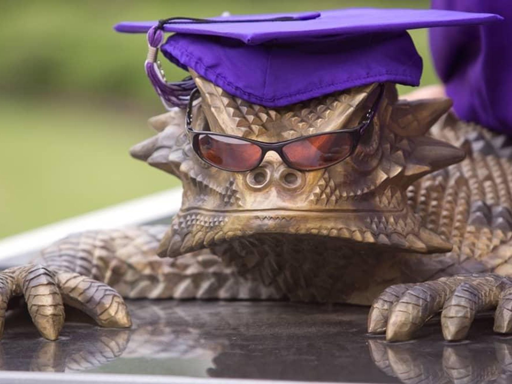 TCU Horned Frog