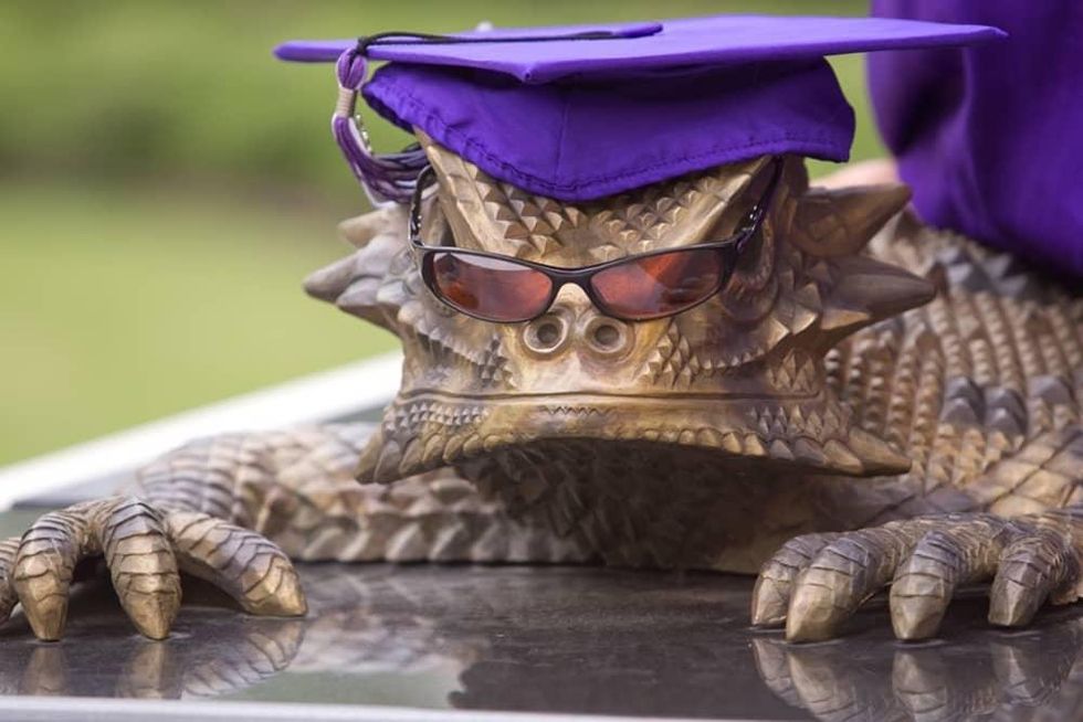 TCU Horned Frog