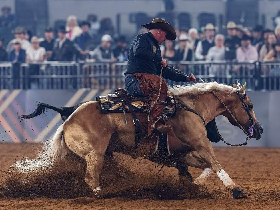 Teton Ridge presents American Performance Horseman