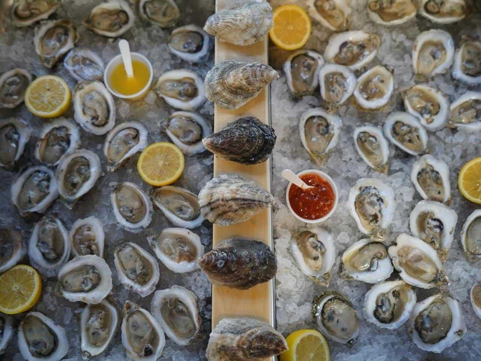 Texas Clear Water Oyster Gardens