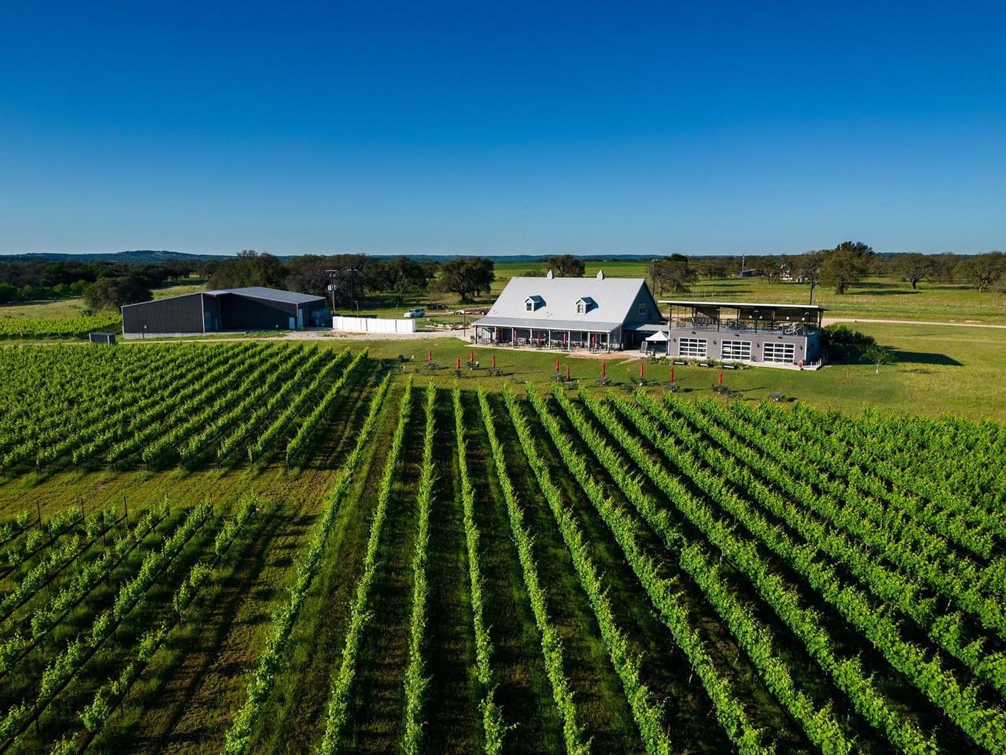 Texas Hill Country Wineries