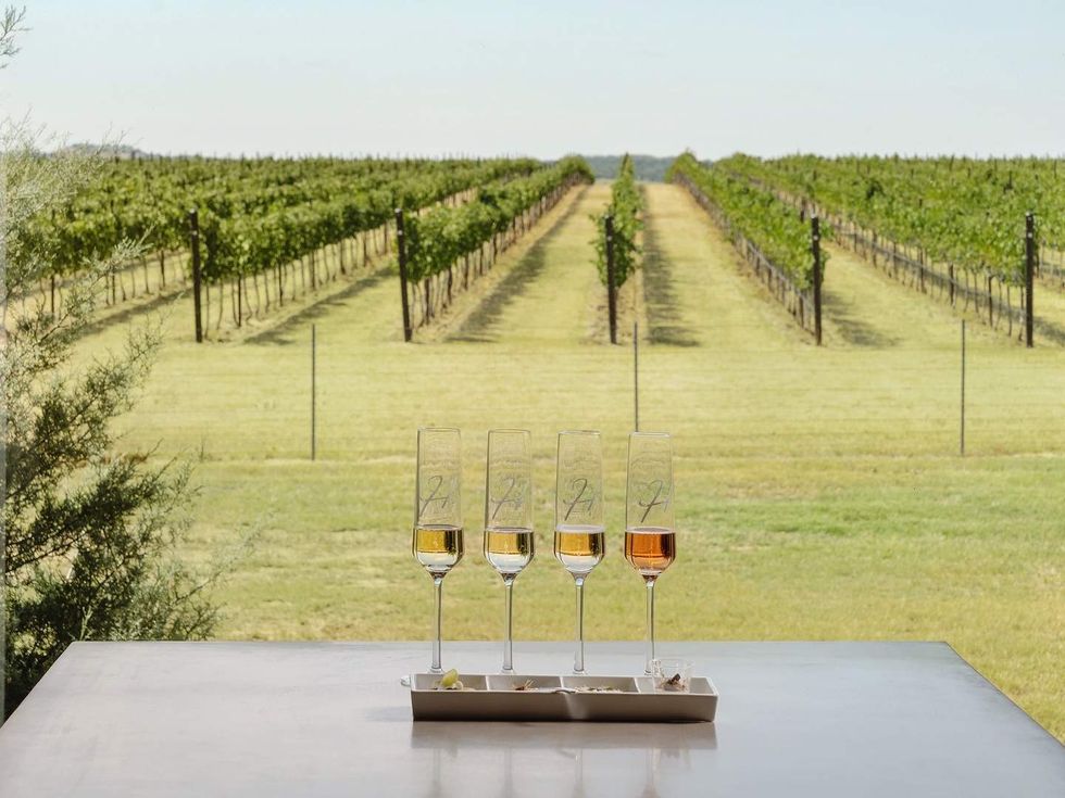 Texas Hill Country Wineries