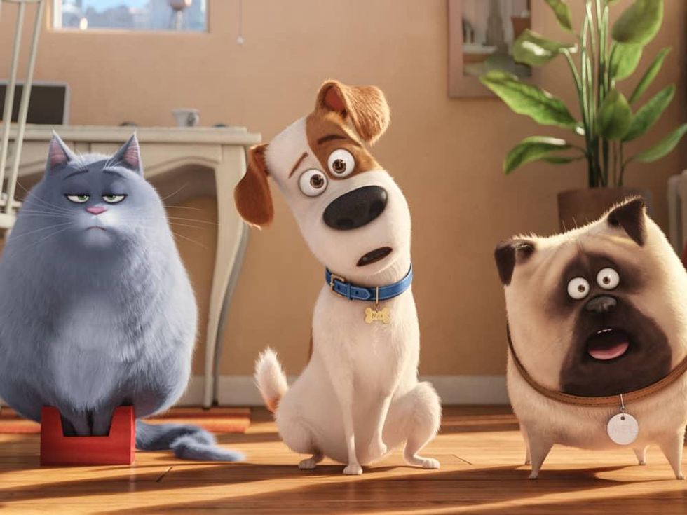 The Secret Life of Pets
