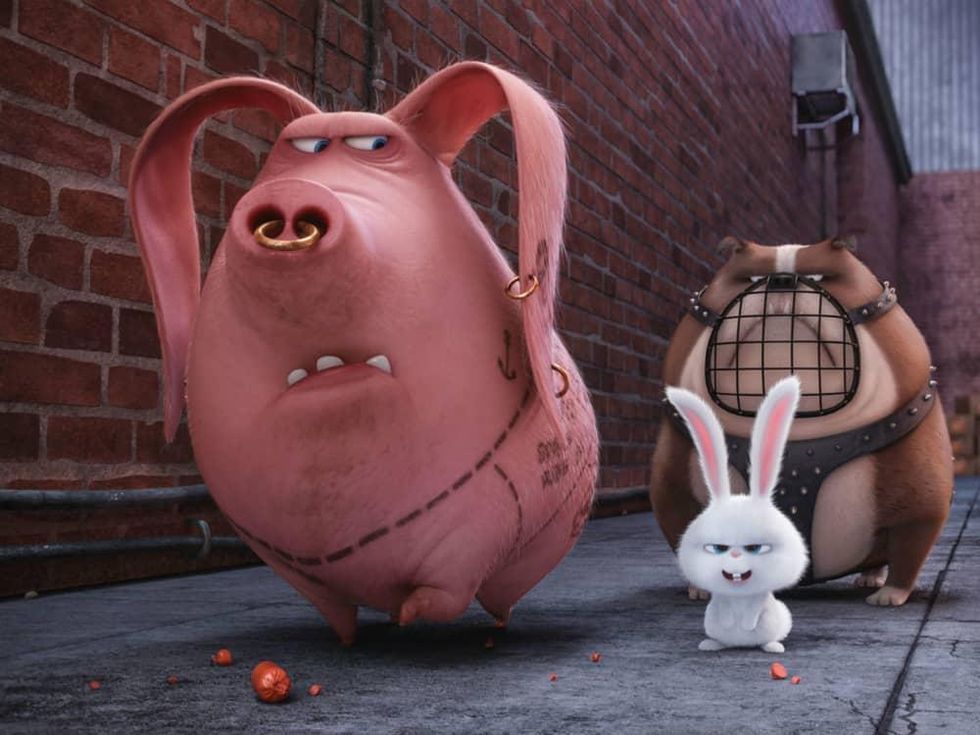 The Secret Life of Pets