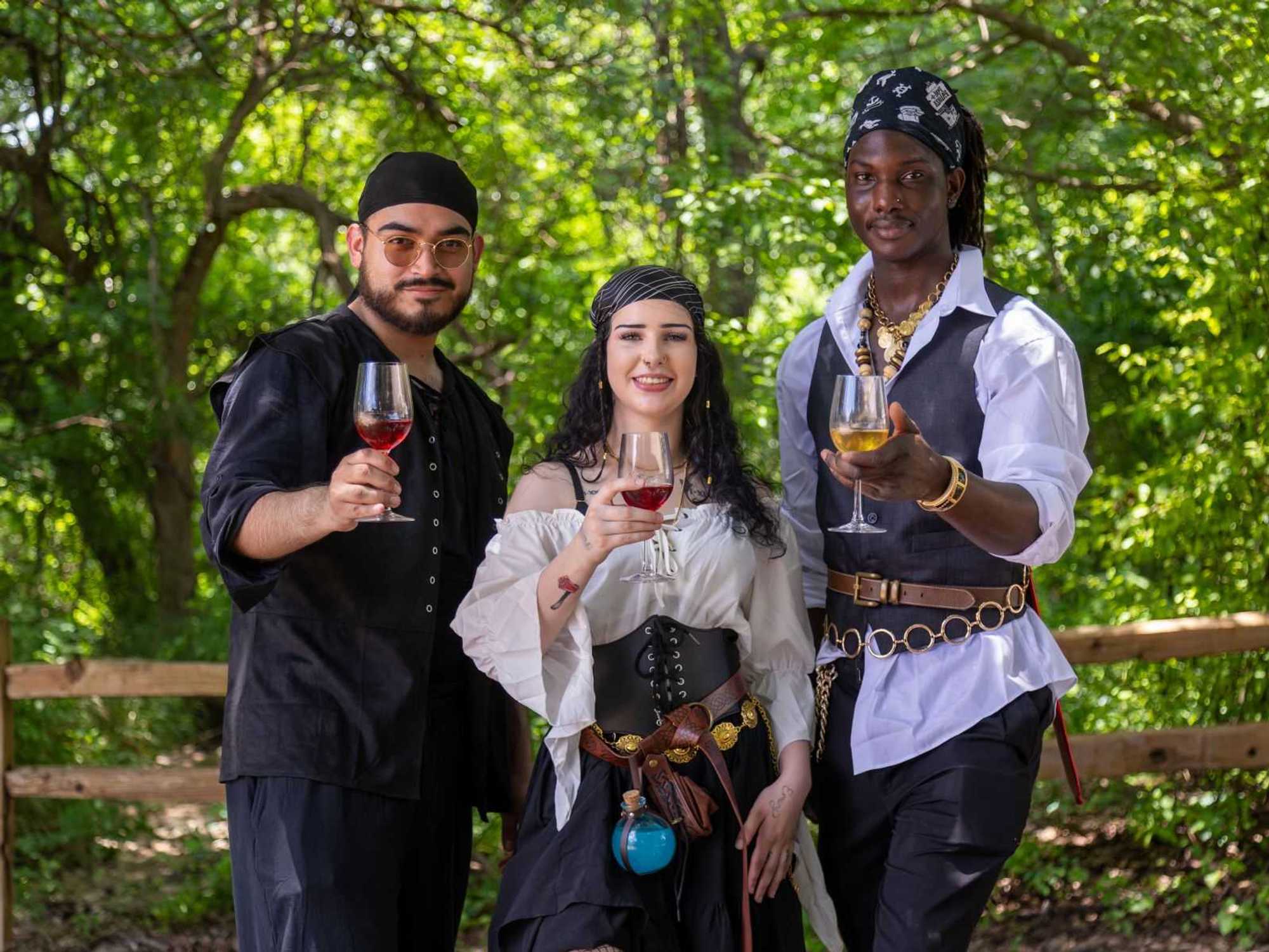 The Texas Mead & Music Festival