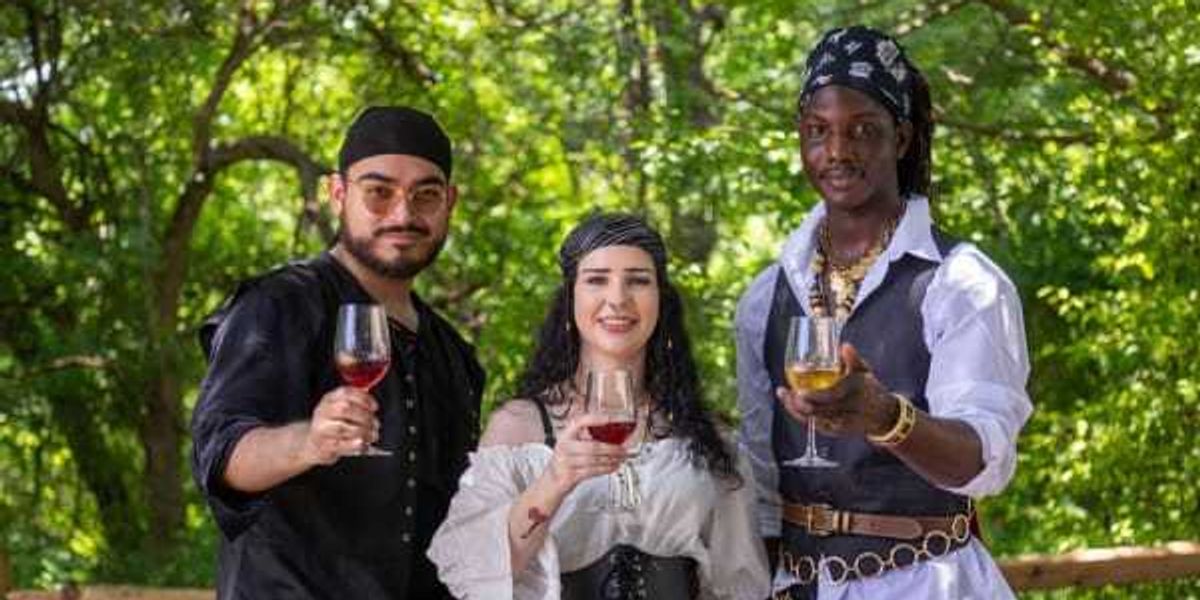 Honey wine takes center stage with North Texas mead festival debut